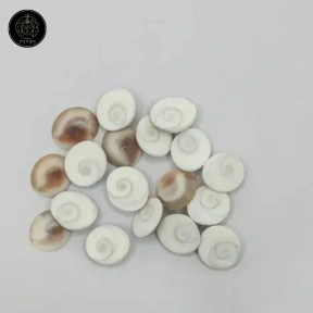 Gomti Chakra - Small